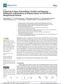 Exploring Urinary Extracellular Vesicles and Immune Mediators as Biomarkers of Kidney Injury in COVID-19 Hospitalized Patients
